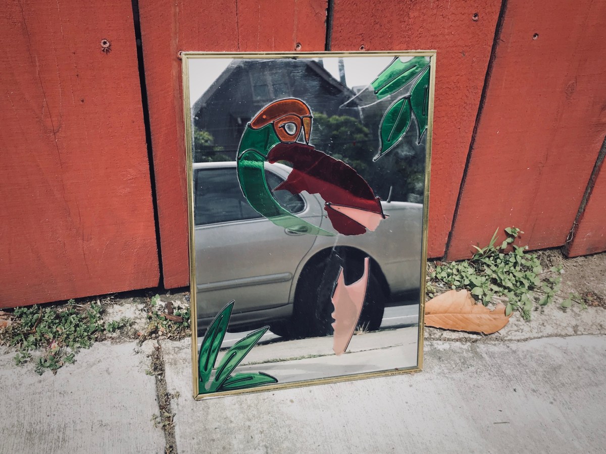 After People, A Bird&nbsp;Reflects